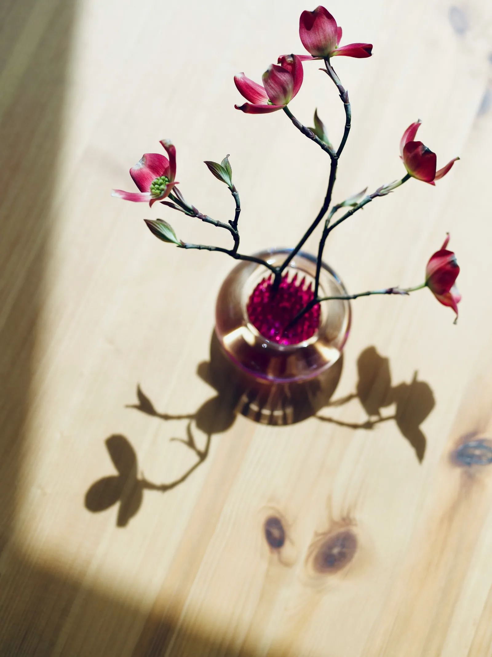 Pink flowers in a vase casting shadows on wood