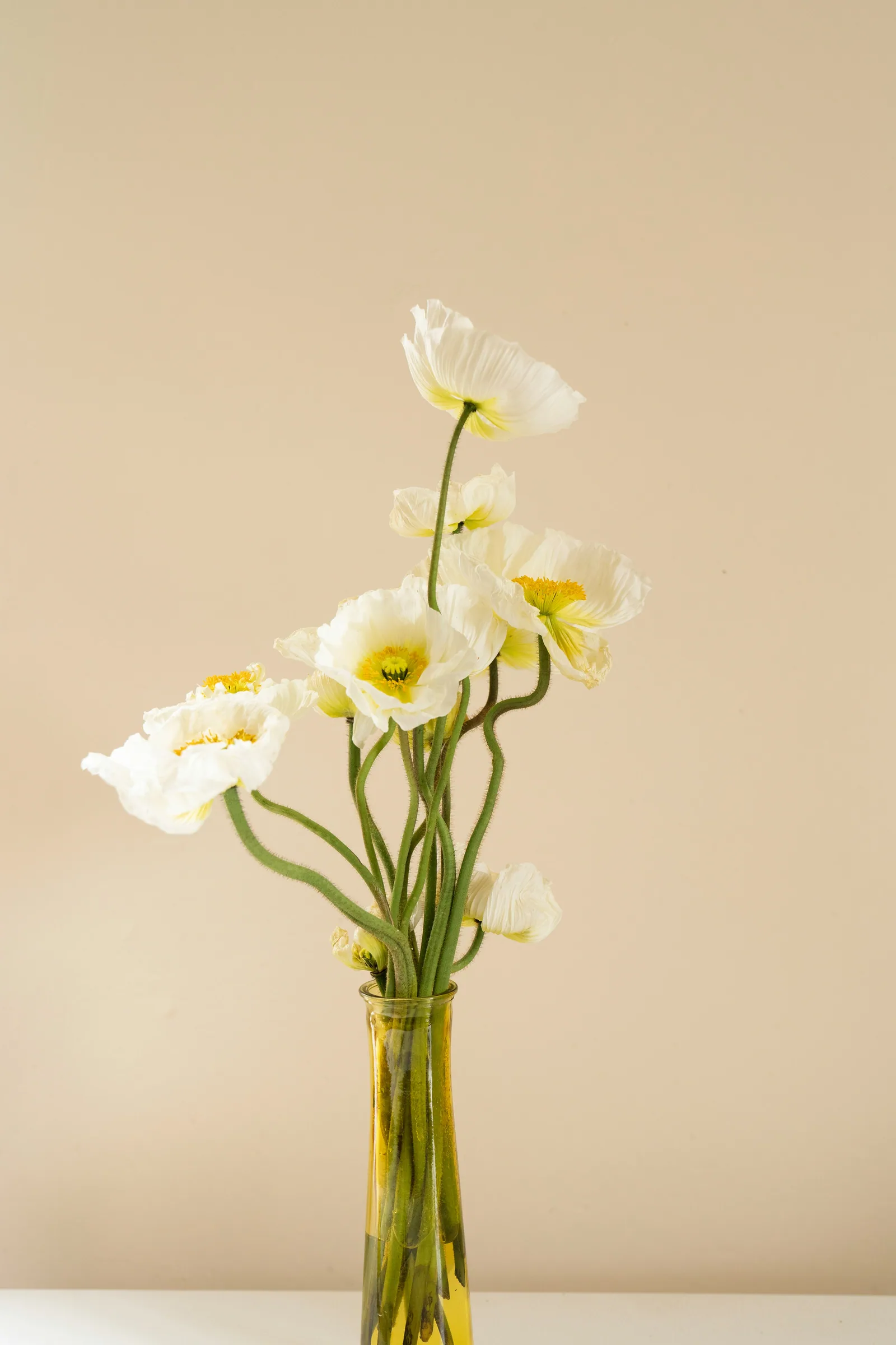 White poppies in amber glass vase