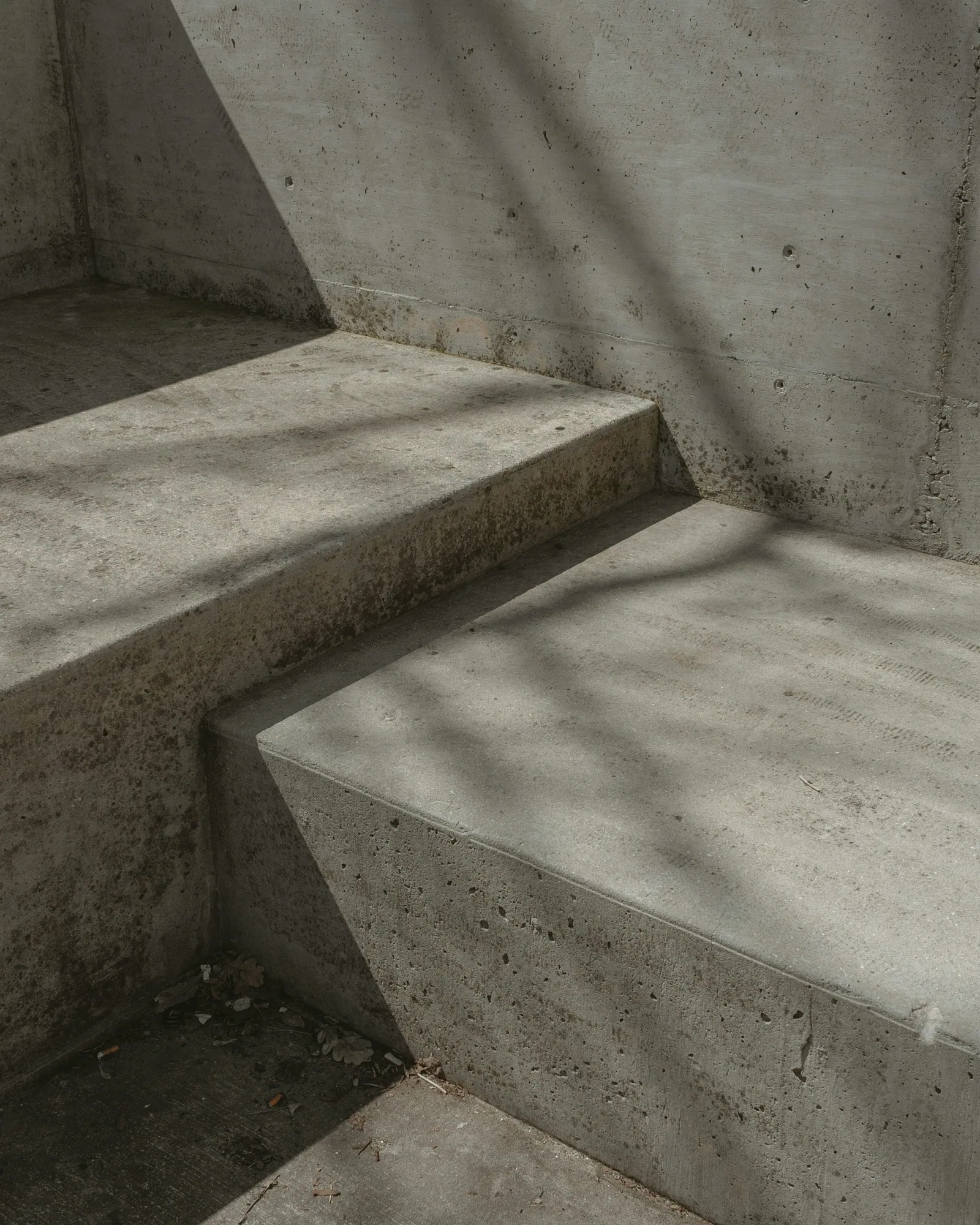 Board-marked concrete steps with tree shadows