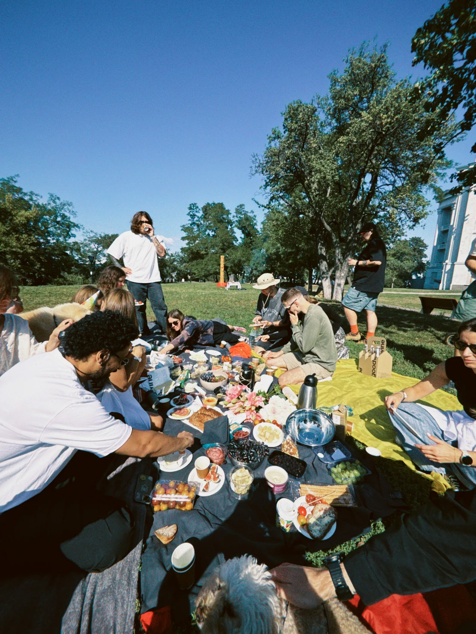 Friends enjoying a sunny outdoor picnic with food