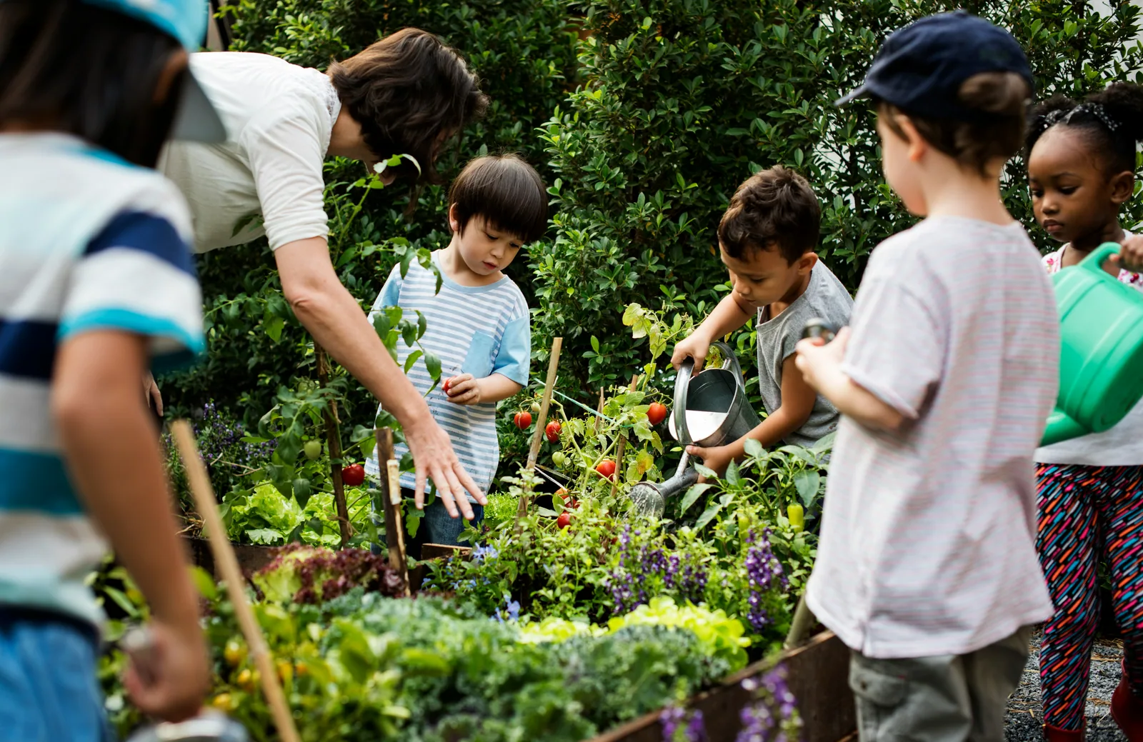 Children and a teacher planting in a garden