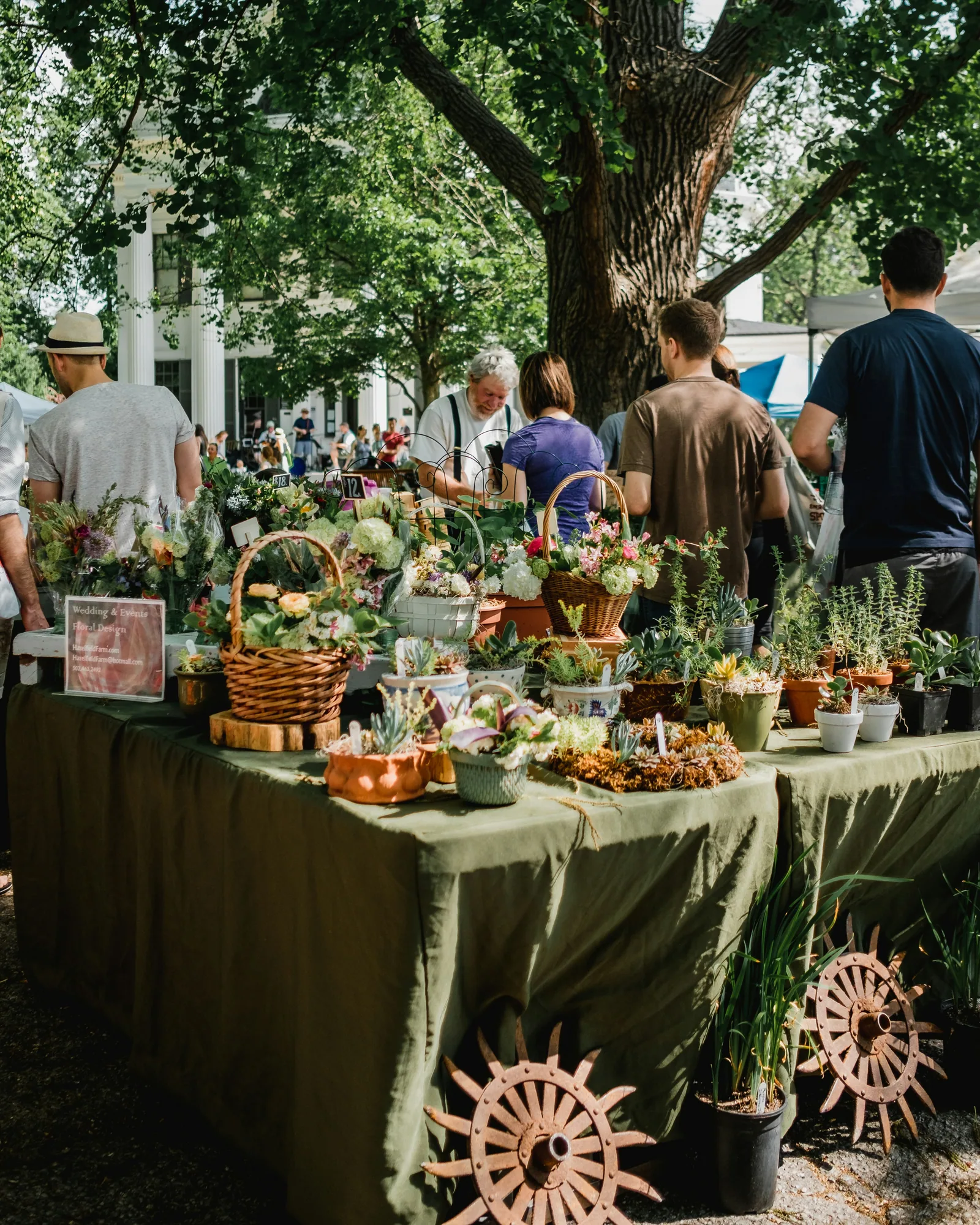 A stall of plants under a big tree, with people around it