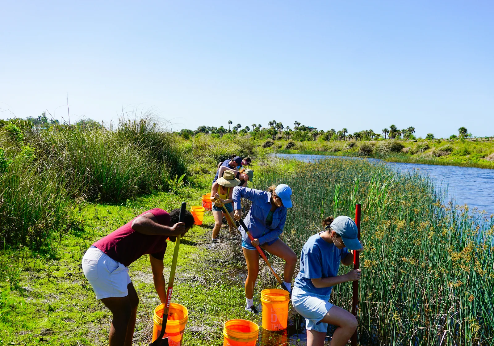 Volunteers clearing a riverbank on a sunny day