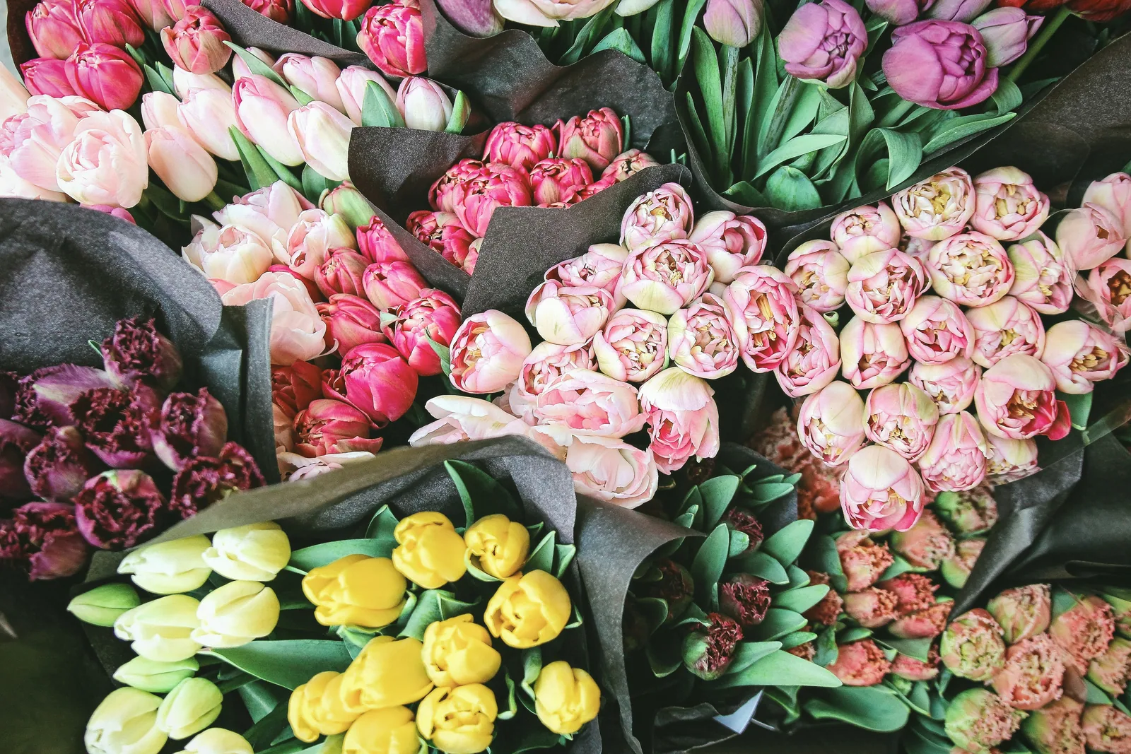 Bunches of pink, white and yellow tulips, wrapped and packed together